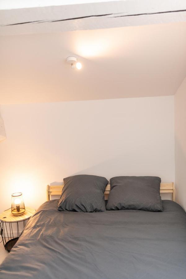 Kasa Duplex - Climatisation - Balcon - Parking Prive Rive-de-Gier Exterior foto